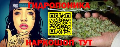 прущие крисы Рыбинск