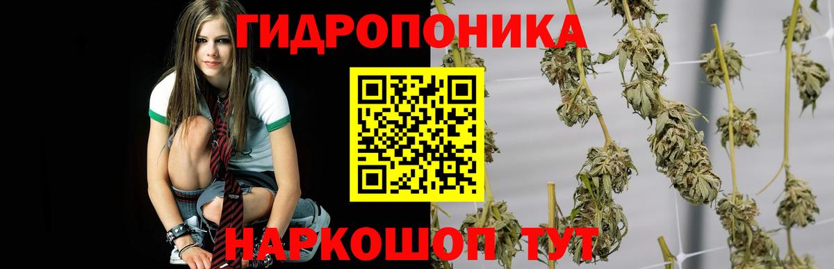 Бошки марихуана сатива Энгельс