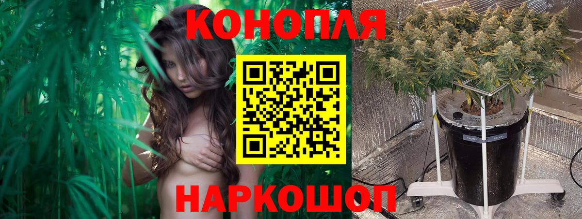 Каннабис конопля  Вход с VPN  Конопля гибрид  Шишки марихуана марихуана  Бошки марихуана THC 21%  Энгельс 
